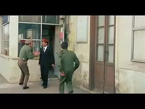 بسیار لاغر, سگ ماده, ...
