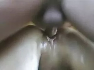 جذاب, سگ ماده, دانلو ...