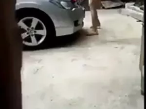 روسی, سگ ماده با معش ...
