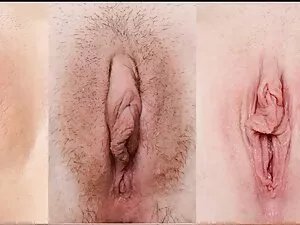 سبزه لزبین نشسته بید ...