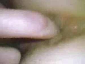 یک سگ ماده, لاتکس, ت ...