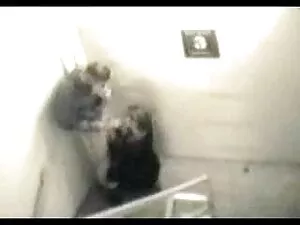 سخت مجموعه, سبزه, دا ...